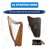 Celtic Design 22-String Lever Harp - Musical Elegance at its Finest