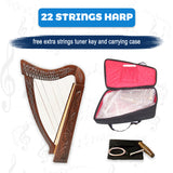 22 strings harp, 22 strings harp usa, 22 strings harp handmade, best 22 string harp, 22 string harp with carrying bag, engraved 22 string harp